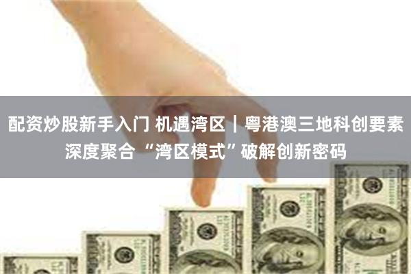 配资炒股新手入门 机遇湾区｜粤港澳三地科创要素深度聚合 “湾区模式”破解创新密码
