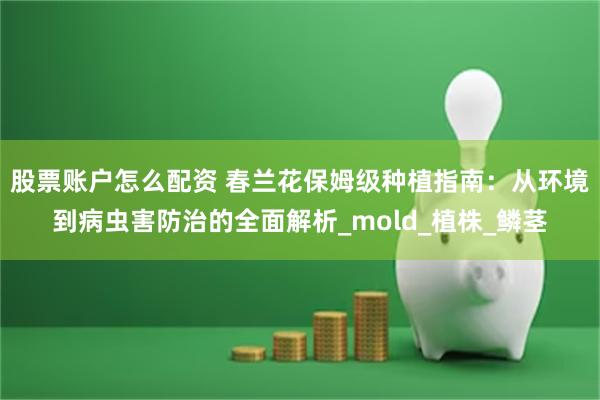 股票账户怎么配资 春兰花保姆级种植指南：从环境到病虫害防治的全面解析_mold_植株_鳞茎