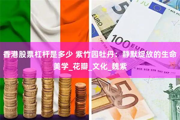 香港股票杠杆是多少 紫竹园牡丹：静默绽放的生命美学_花瓣_文化_魏紫
