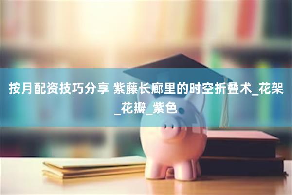 按月配资技巧分享 紫藤长廊里的时空折叠术_花架_花瓣_紫色