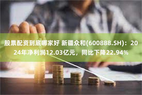 股票配资到底哪家好 新疆众和(600888.SH)：2024年净利润12.03亿元，同比下降22.94%