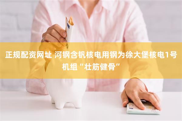 正规配资网址 河钢含钒核电用钢为徐大堡核电1号机组“壮筋健骨”
