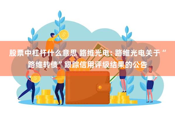 股票中杠杆什么意思 路维光电: 路维光电关于“路维转债”跟踪信用评级结果的公告