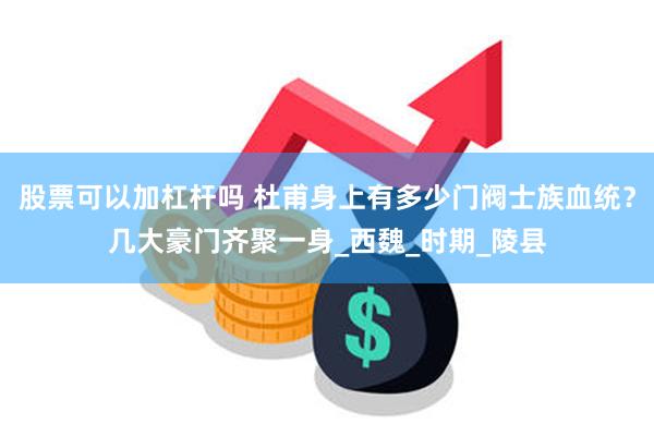 股票可以加杠杆吗 杜甫身上有多少门阀士族血统？几大豪门齐聚一身_西魏_时期_陵县